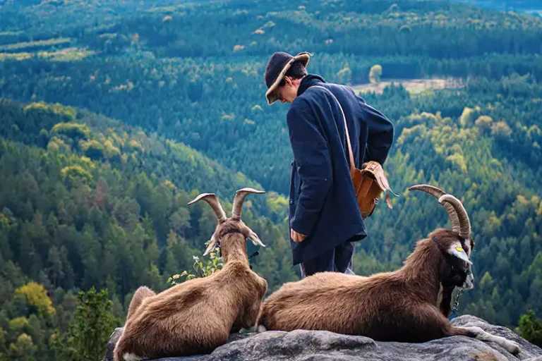 Rückweg vom Quirl zur Ziegenalm / Heading back from the Quirl to the Ziegenalm